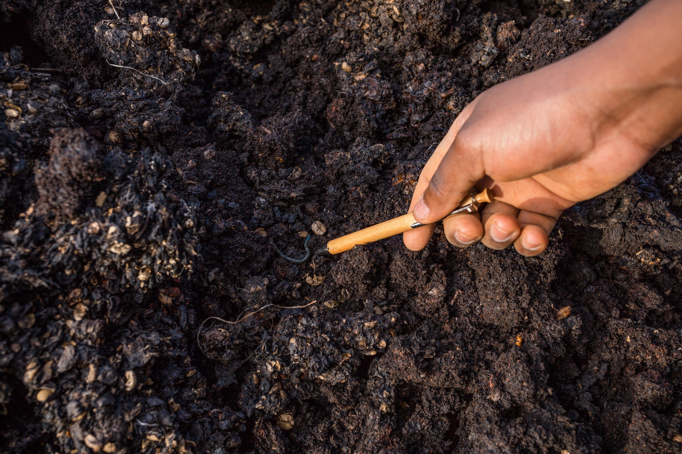 People Food & Land Foundation