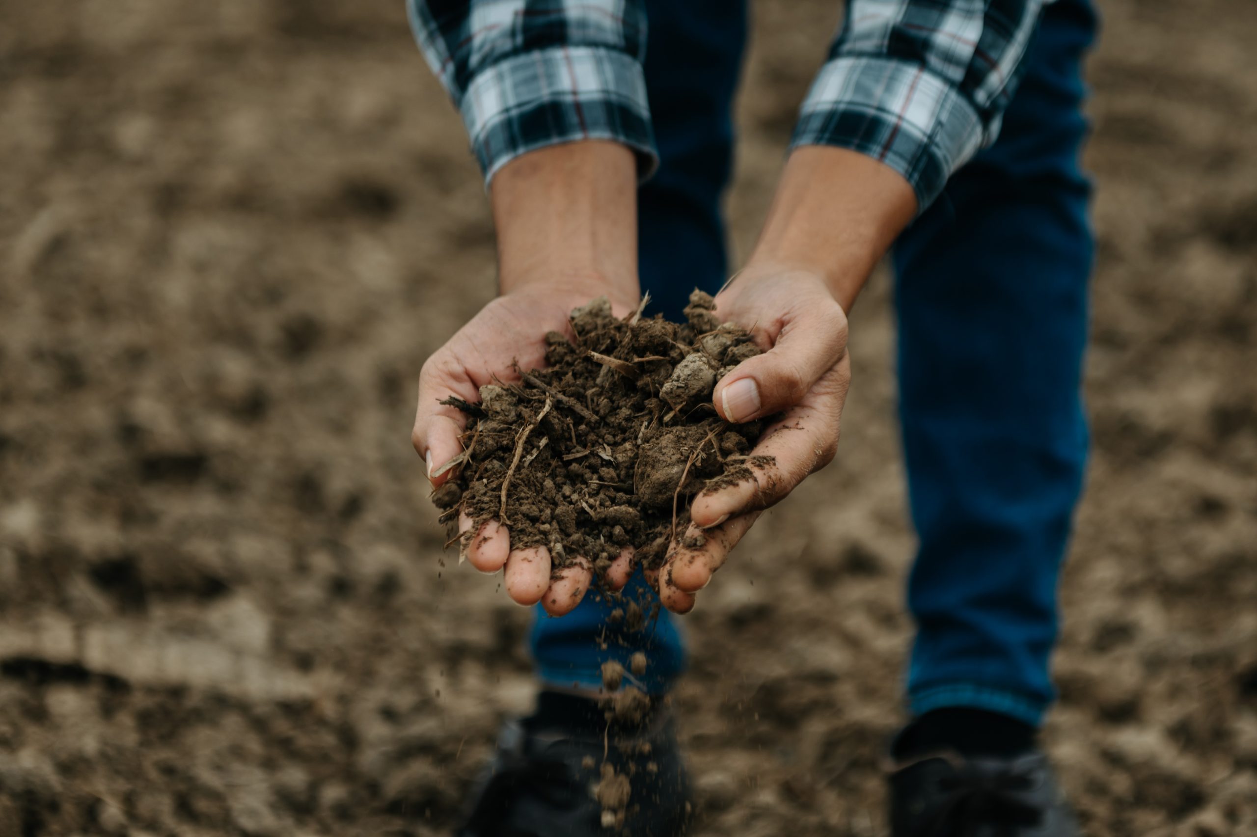 People Food & Land Foundation