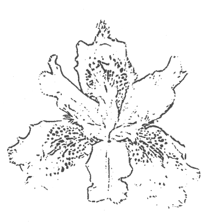 People Food & Land Foundation