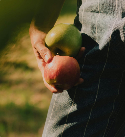 People Food & Land Foundation