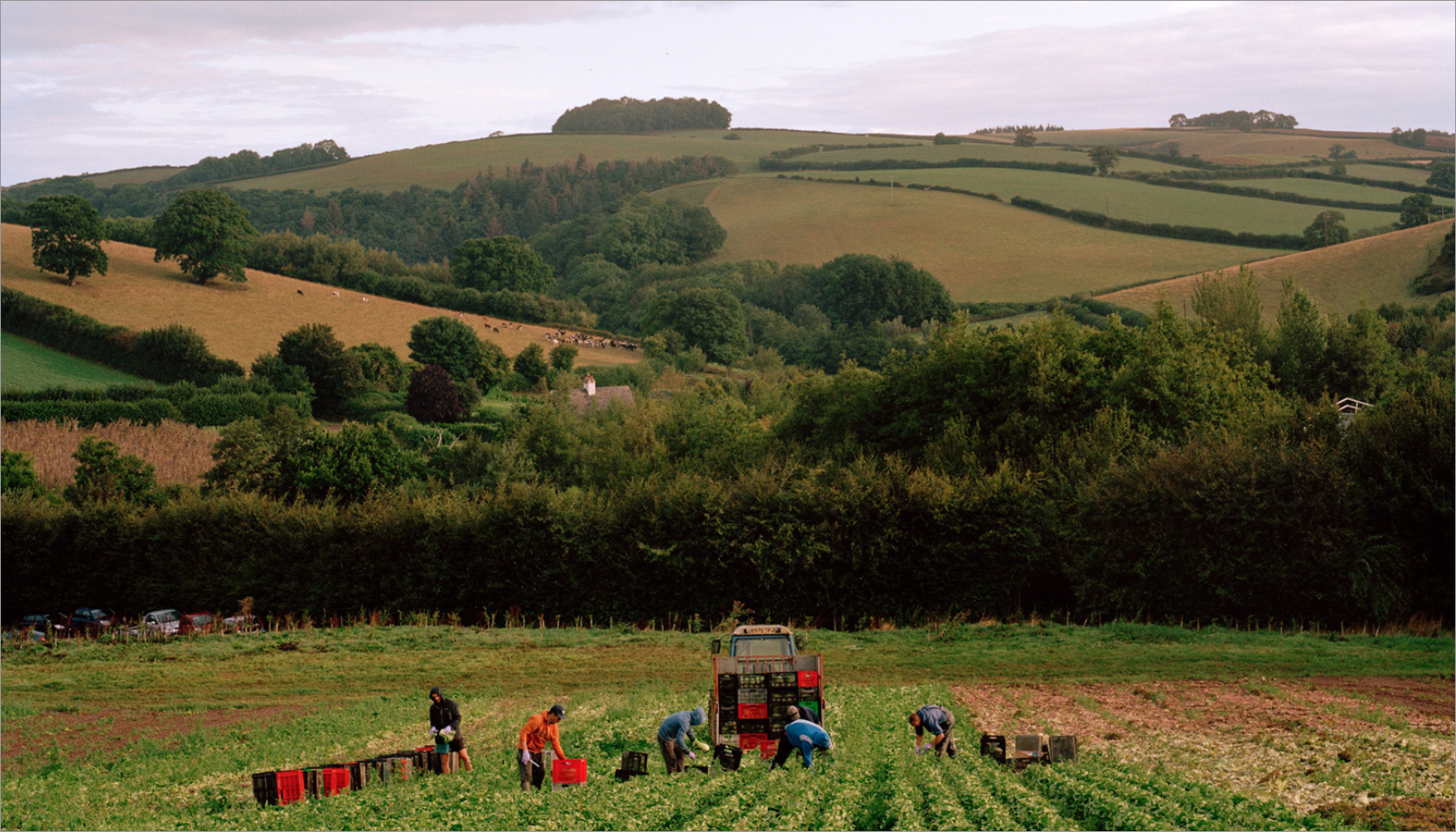 People Food & Land Foundation