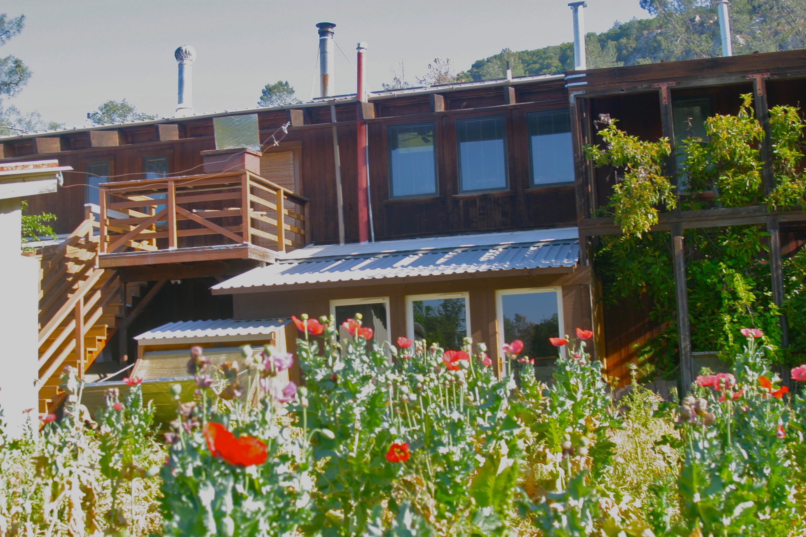 People Food & Land Foundation