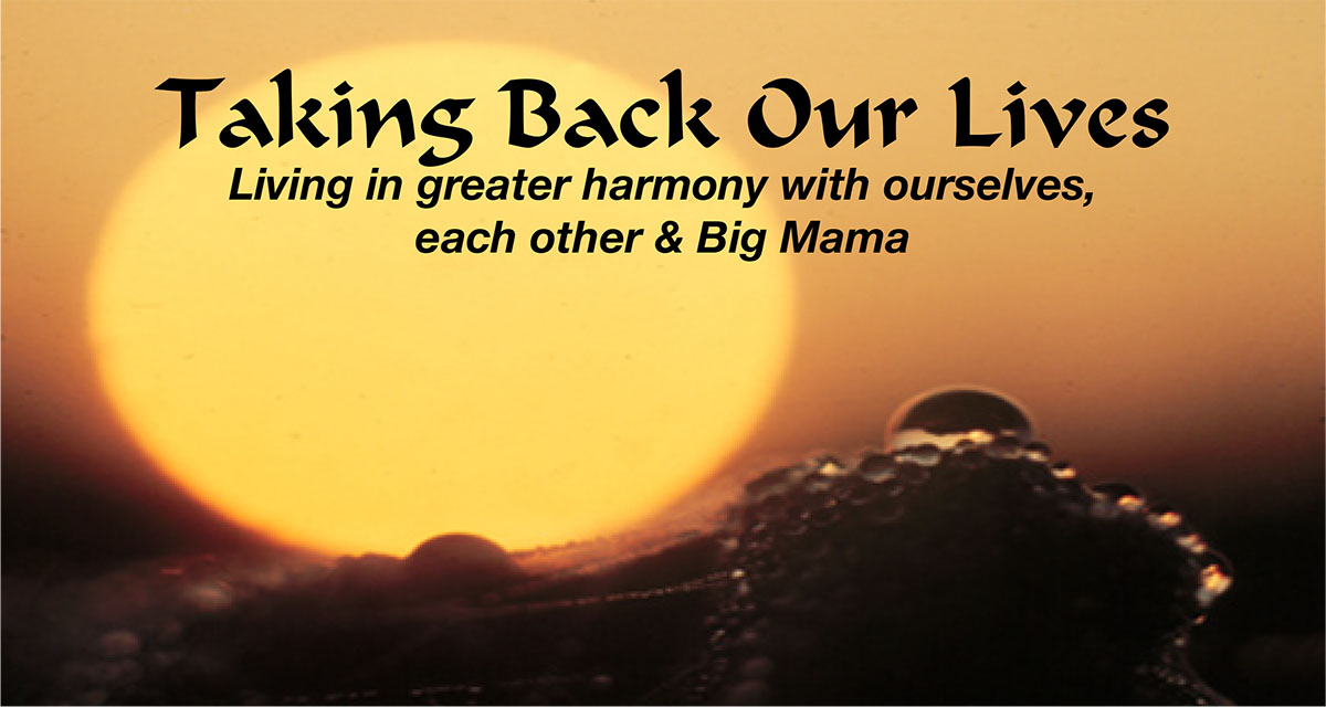 People Food & Land Foundation