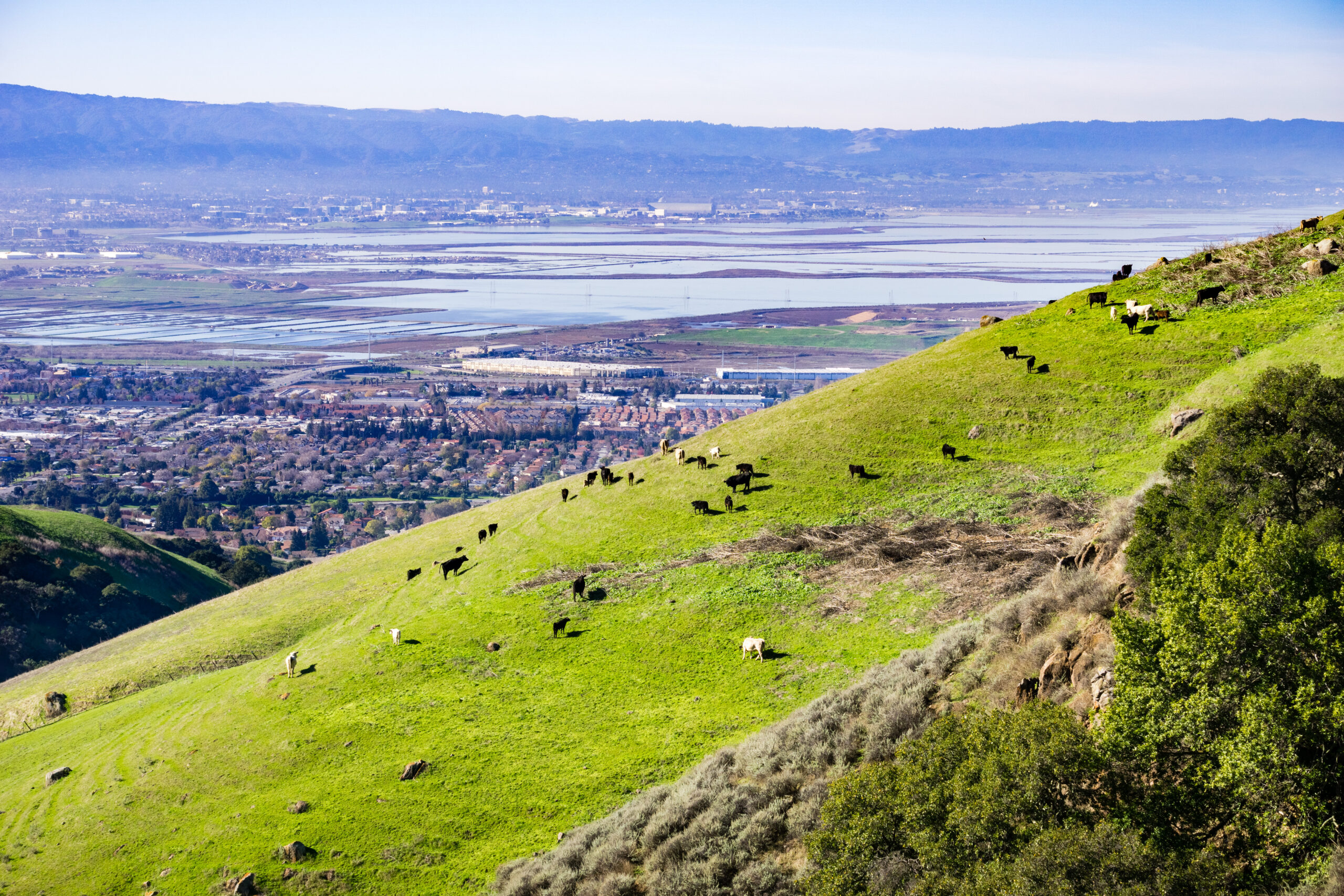 People Food & Land Foundation