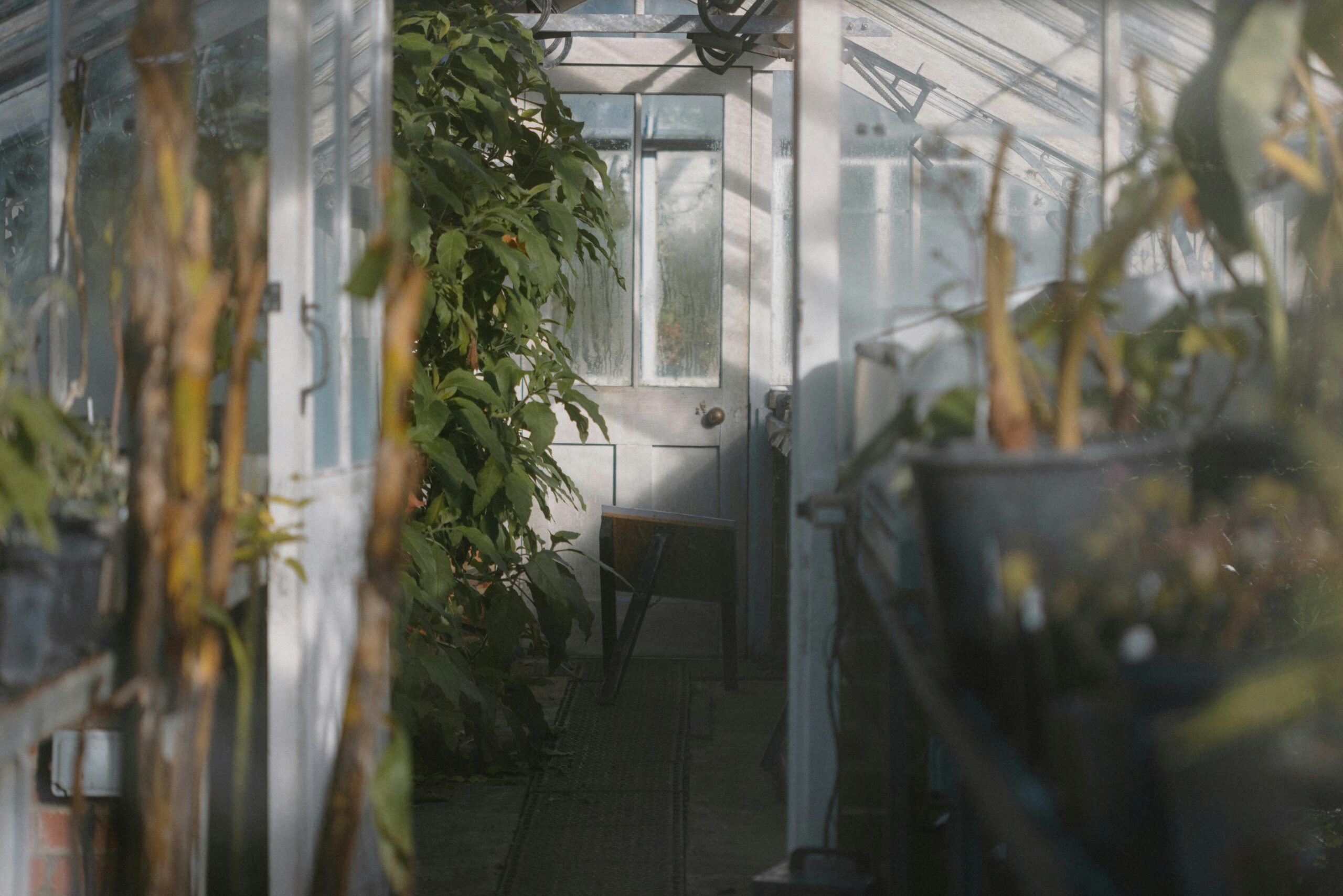 People Food & Land Foundation