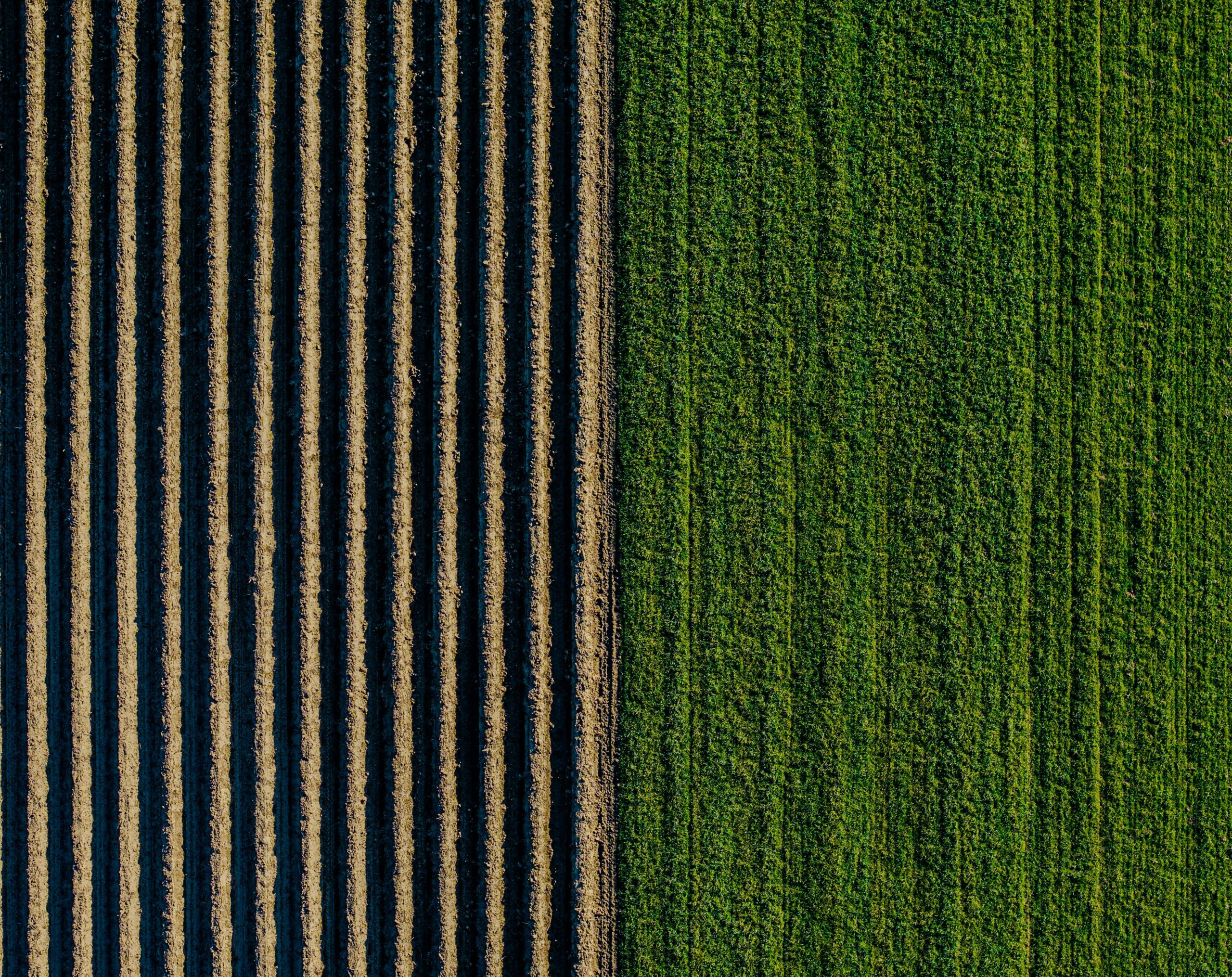 People Food & Land Foundation