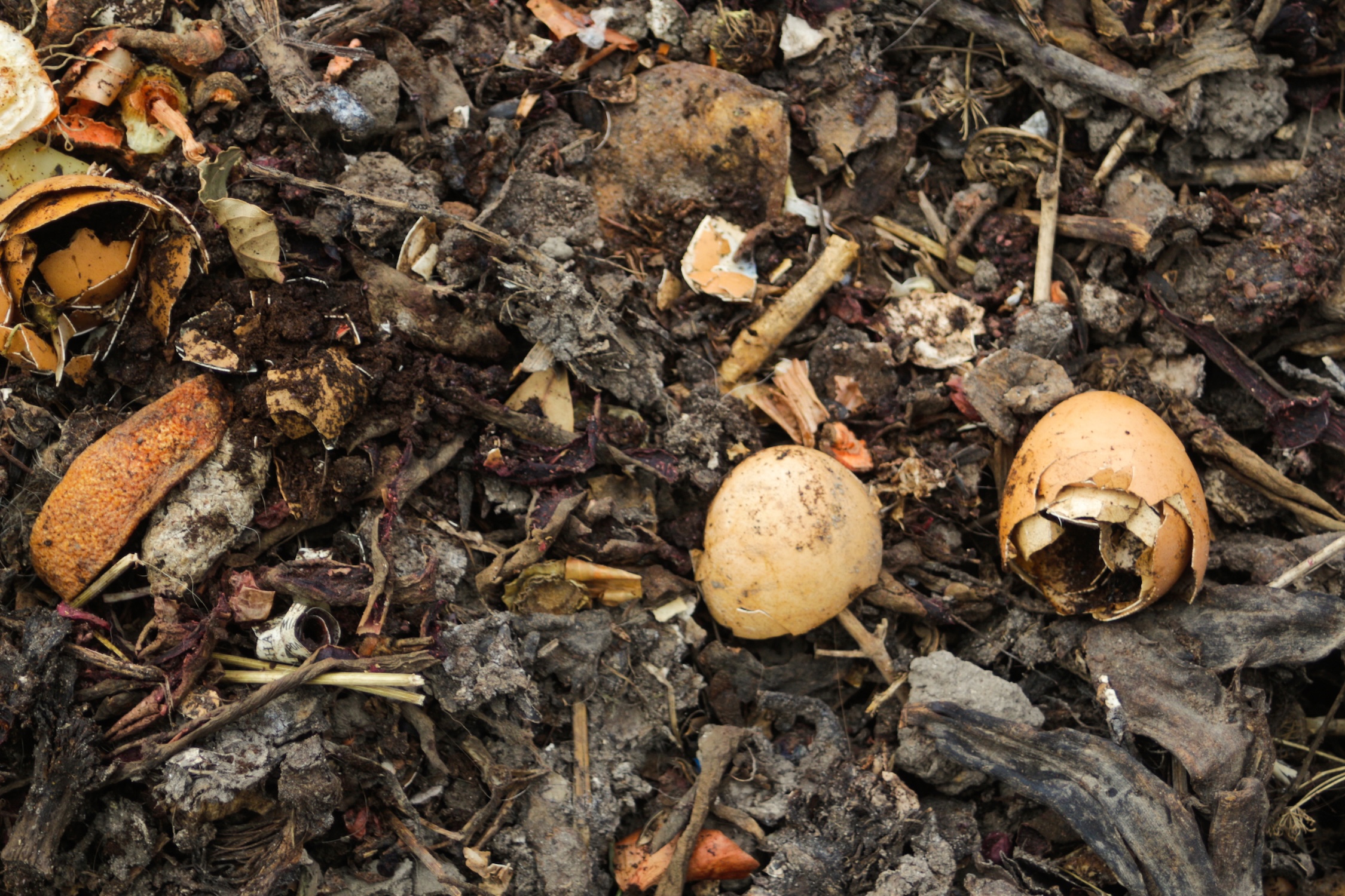 People Food & Land Foundation