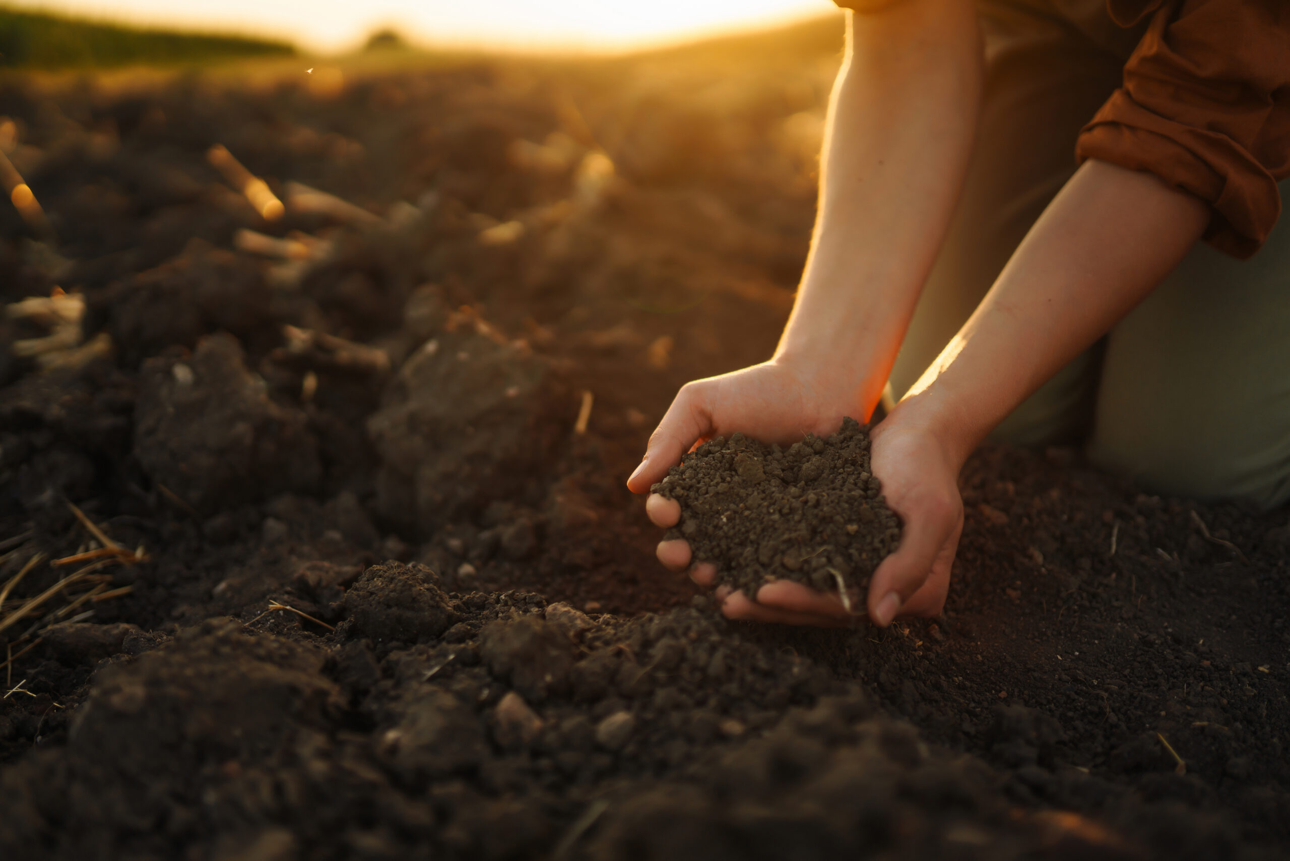 People Food & Land Foundation