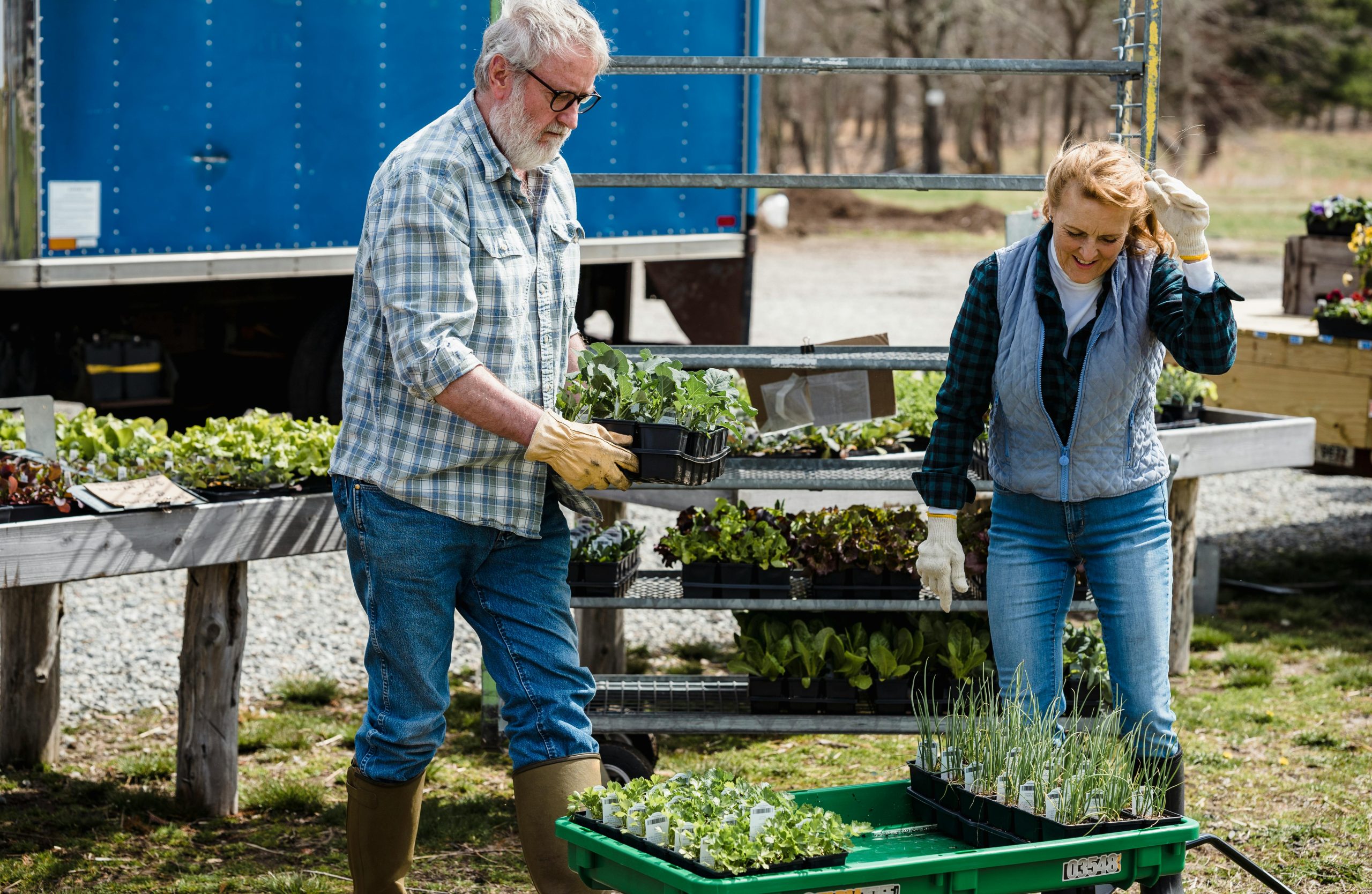 People Food & Land Foundation