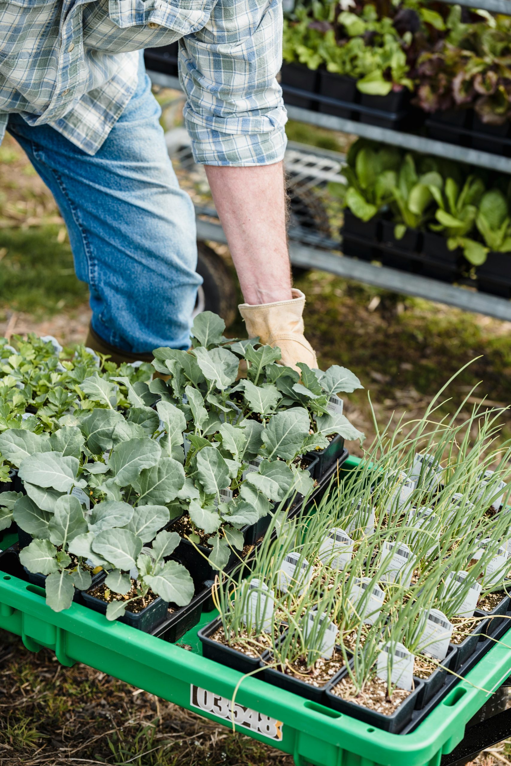 People Food & Land Foundation