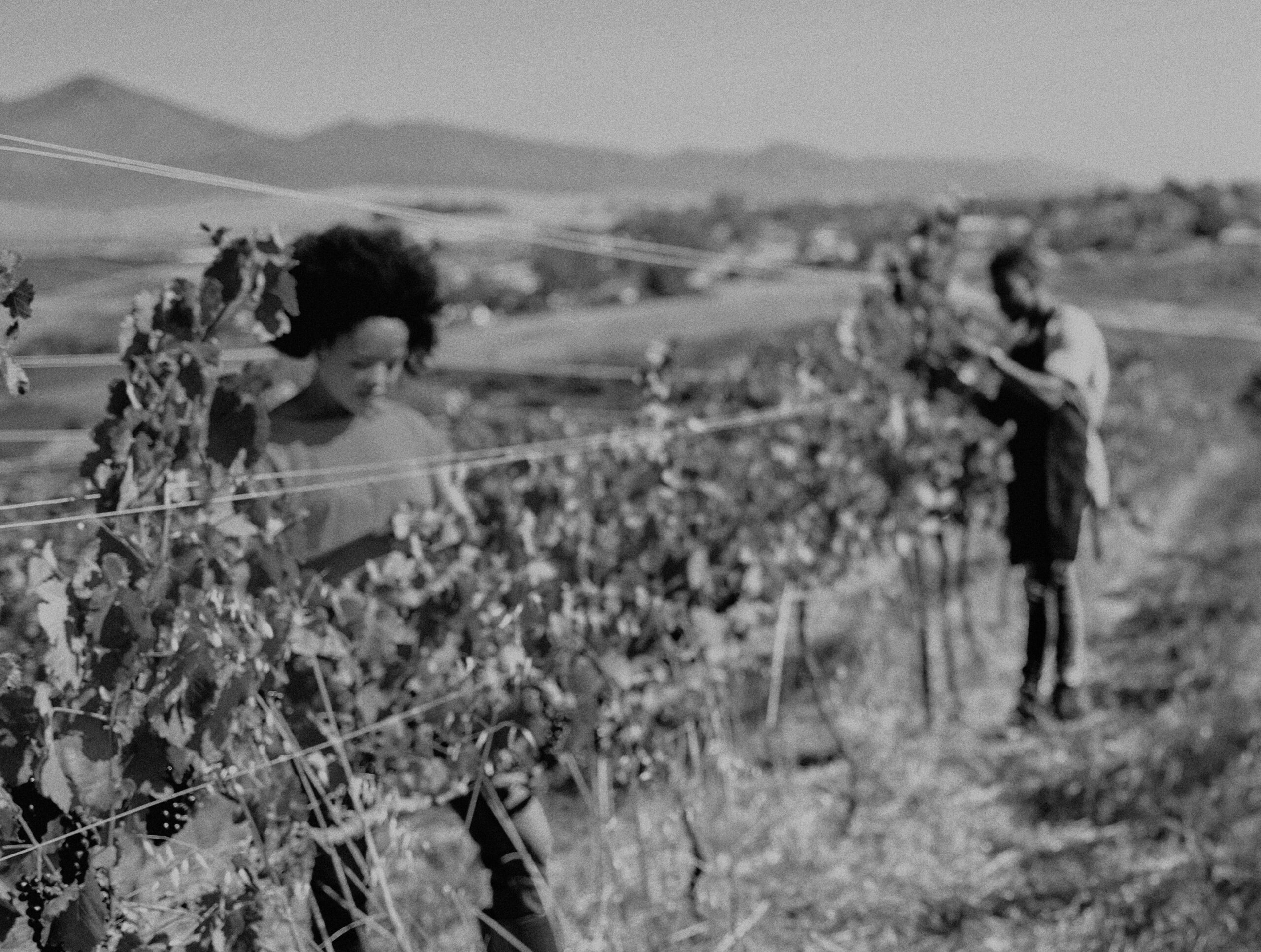 People Food & Land Foundation