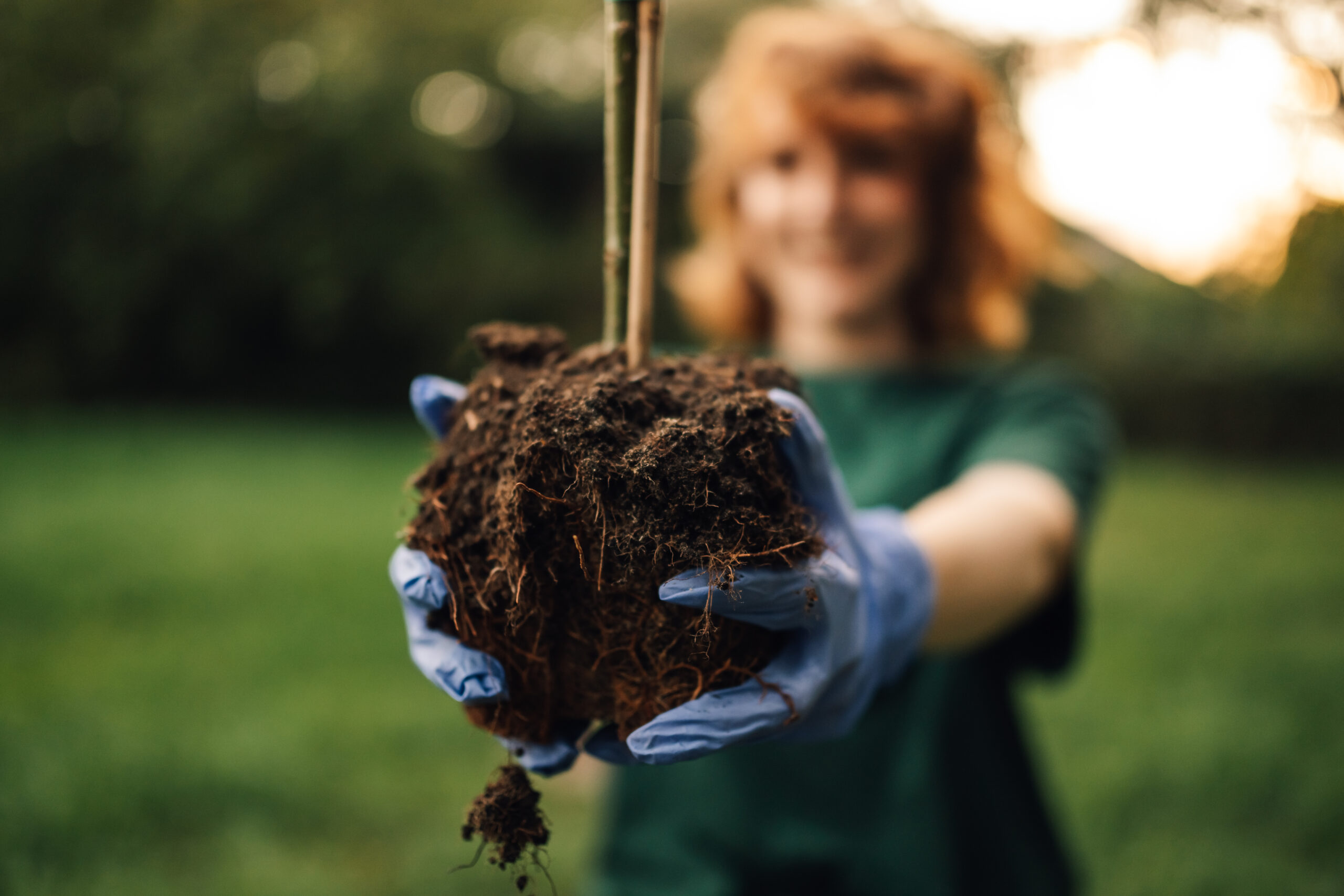 People Food & Land Foundation