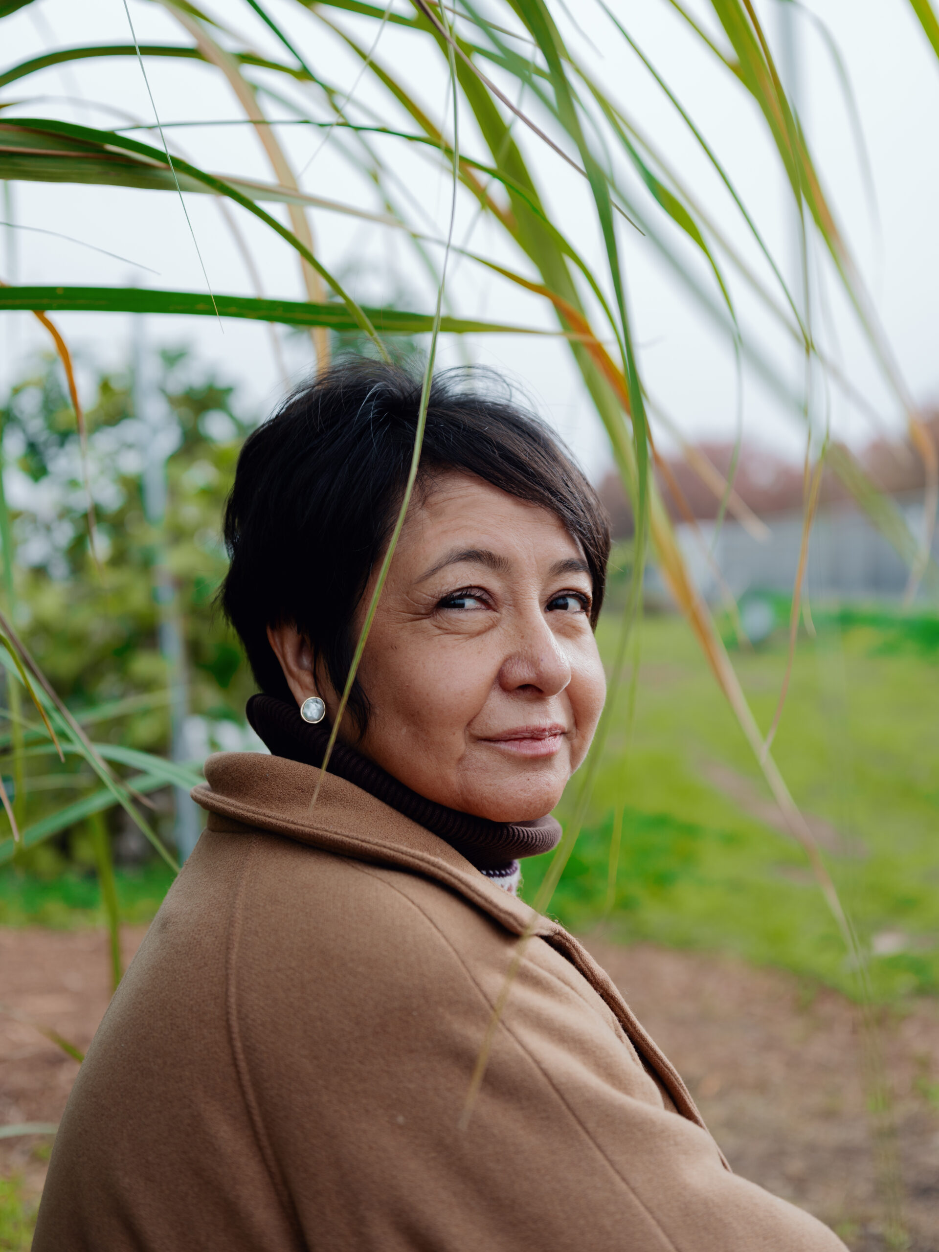 People Food & Land Foundation